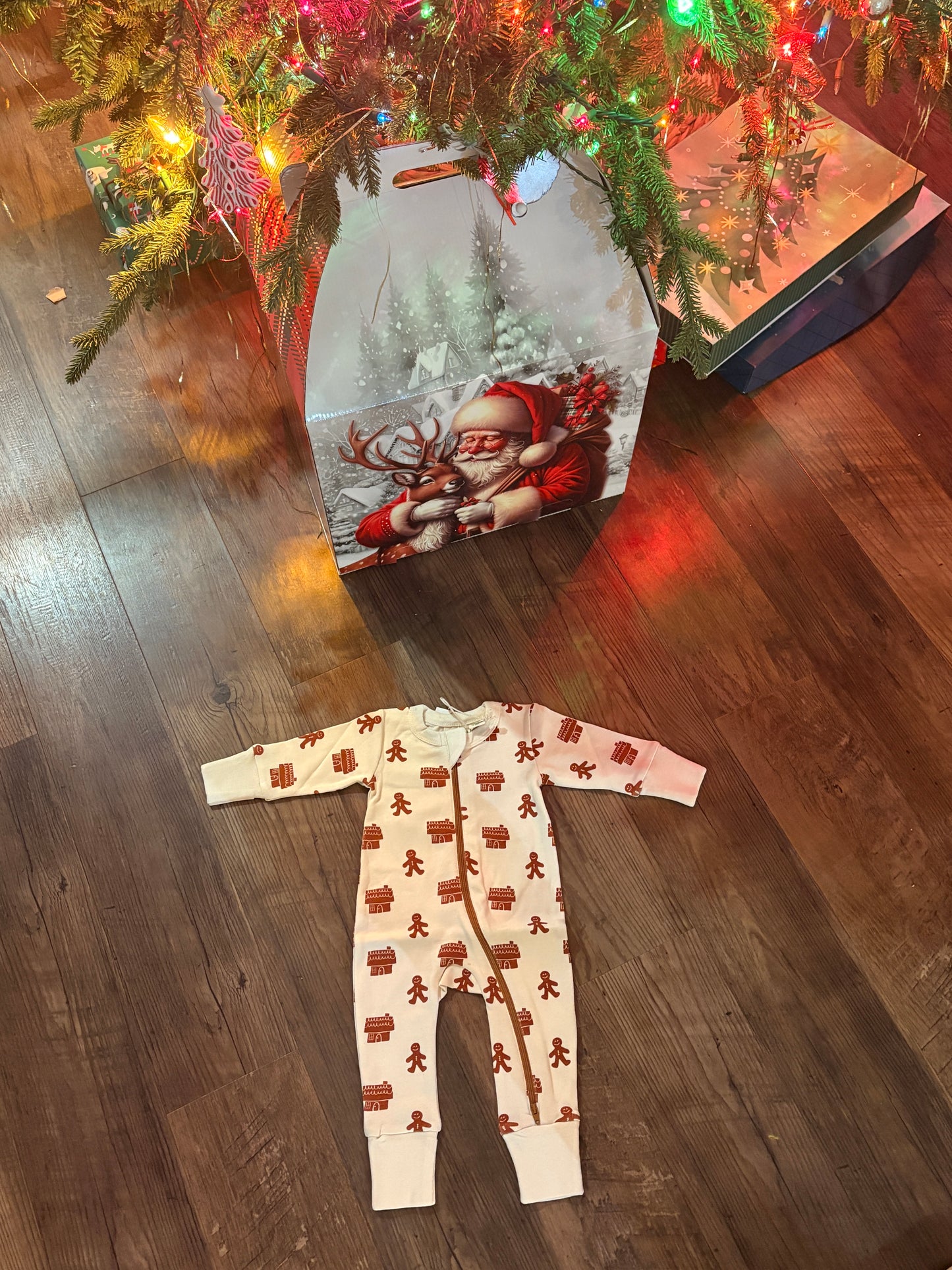 GINGERBREAD Signature Print '2-Way' Zip Romper