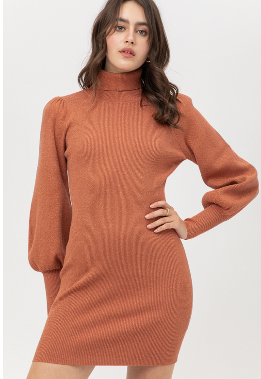 TURTLE NECK METALLIC SWEATER DRESS